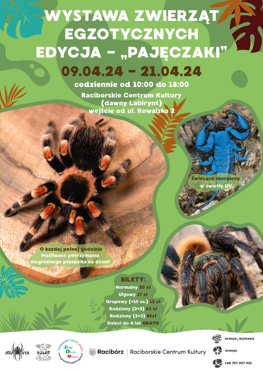 plakat