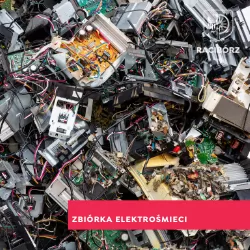 Oddaj elektrośmieci, otrzymaj roślinkę!