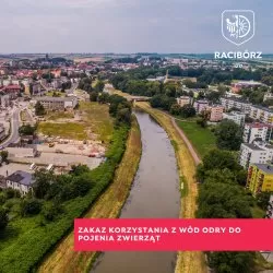 Zakaz korzystania z wód Odry do pojenia zwierząt