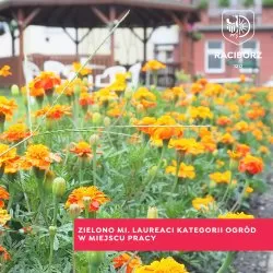 Zielono mi. Laureaci kategorii Ogród w miejscu pracy