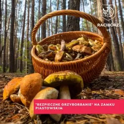 „Bezpieczne Grzybobranie” 23.09.2022r. na Zamku Piastowskim w Raciborzu
