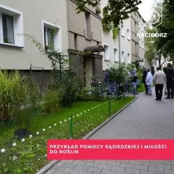 Przykład pomocy sąsiedzkiej i miłości do roślin