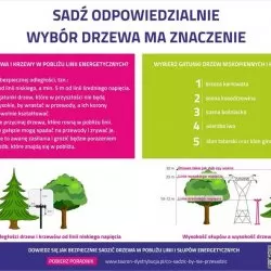 Informacje dotyczące pielęgnacji i nasadzeń drzew pod liniami energetycznymi