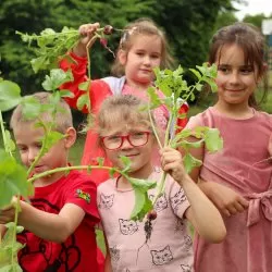 Obfite zbiory warzyw i owoców w Przedszkolu nr 16 i ZSP nr 4