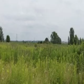 SSE w Raciborzu