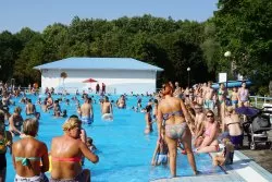 Ogłoszenie o wpłynięciu oferty organizacji pozarządowej na realizację zadania publicznego
