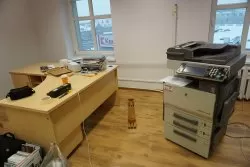 Lokale na Start w dalszym, ciągu cieszą się dużą popularnością