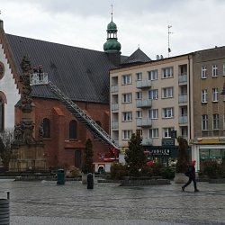 Kolumna Maryjna pod lupą konserwatora dzieł sztuki