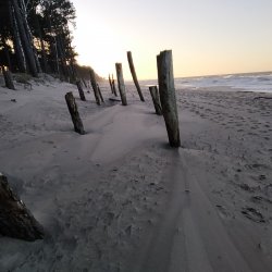 Wypoczynek nad morzem. Terminy obozów w Pleśnej.