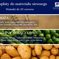 Rolniku! Jeszcze tylko 2 dni na złożenie wniosku