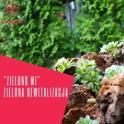 "Zielono mi". Wyniki konkursu w kategorii Zielona Rewitalizacja