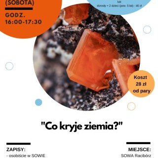 Warsztaty familijne "Co kryje ziemia?"