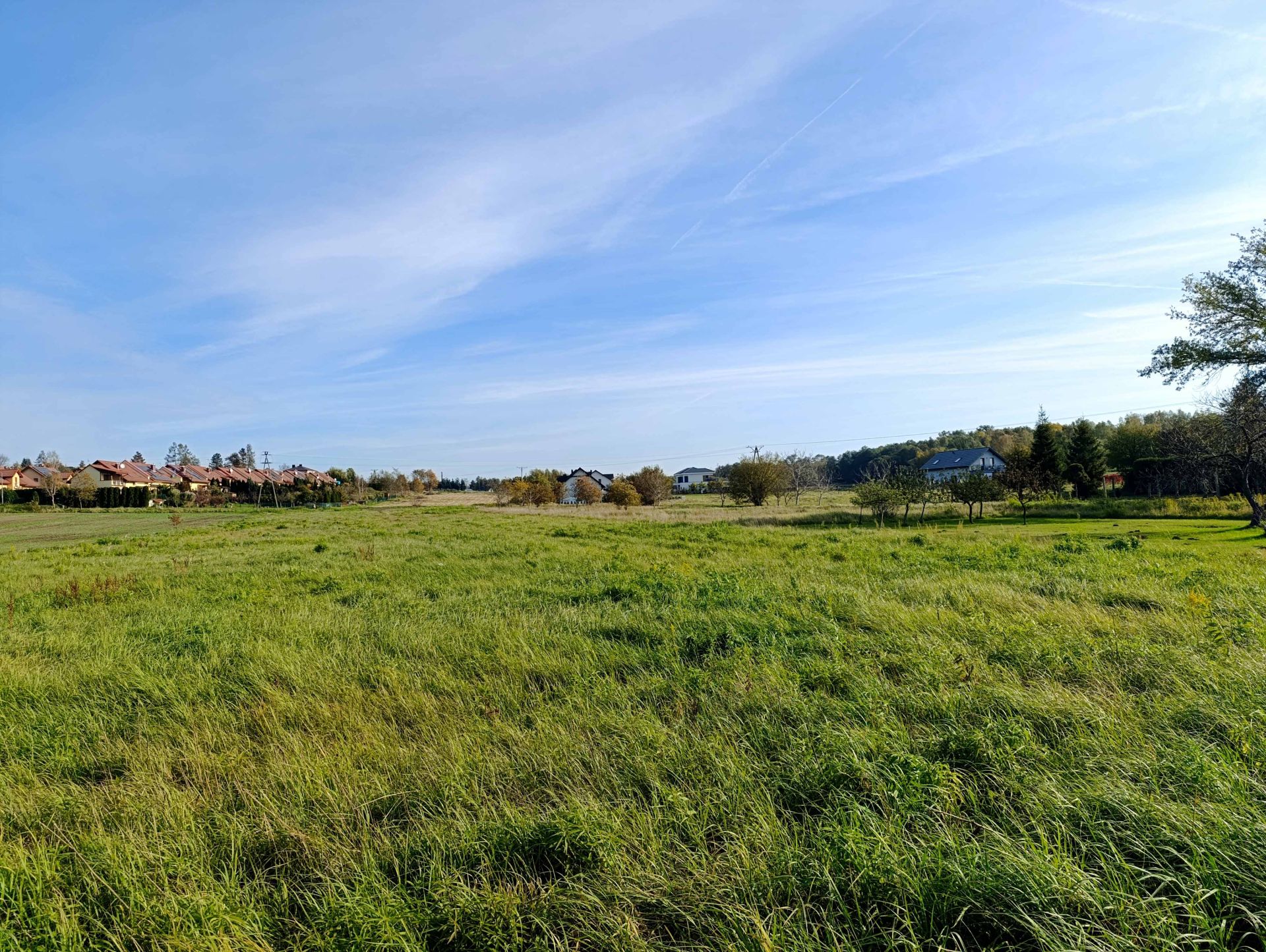 Tęczowa