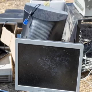 Zbiórka zużytego sprzętu elektronicznego. Odbierz sadzonkę!
