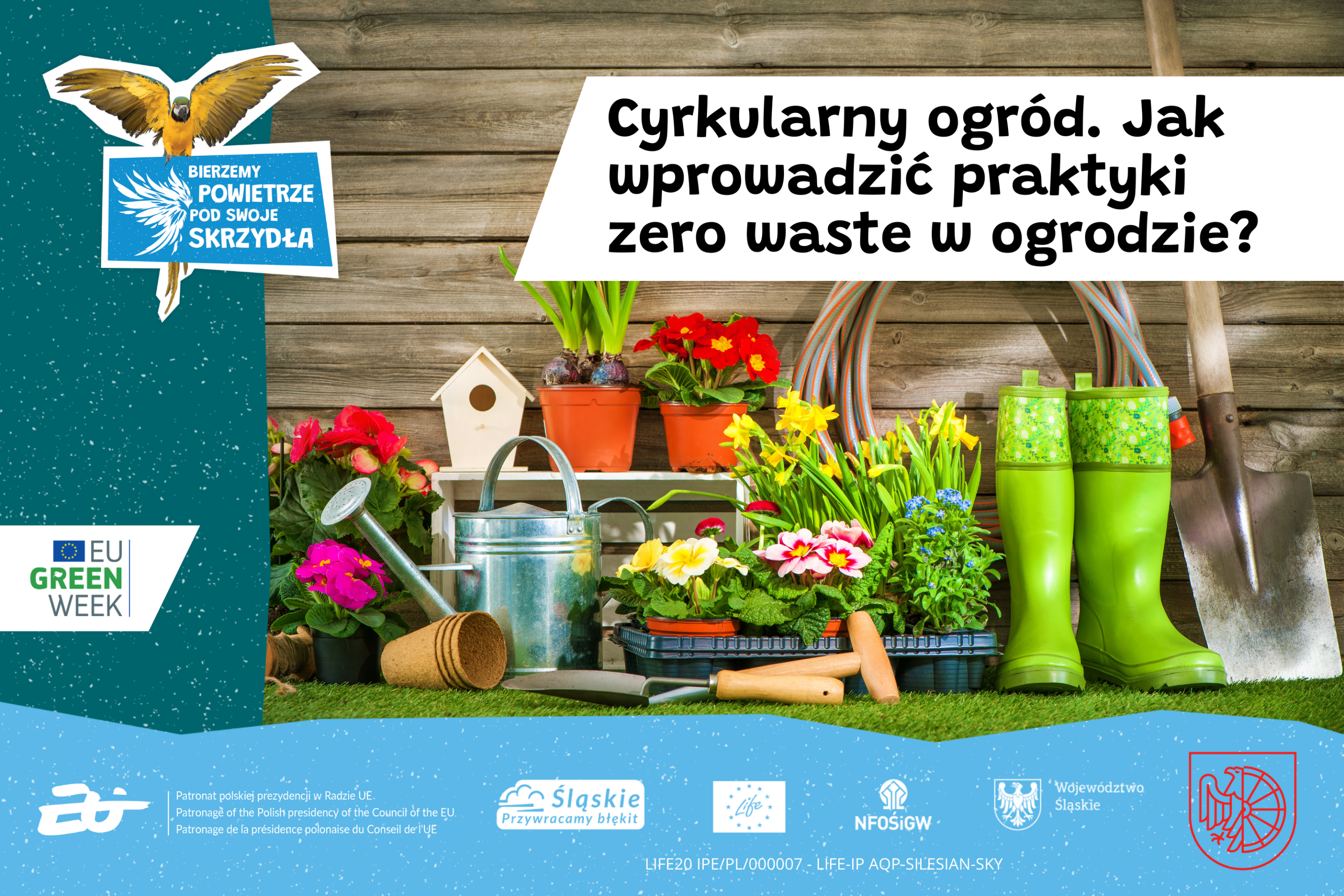 Cyrkularny ogród. Jak wprowadzić praktyki zero waste w ogrodzie?