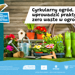 Cyrkularny ogród. Jak wprowadzić praktyki zero waste w ogrodzie?