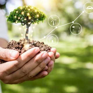 Dotacje na szkolenia i studia podyplomowe – zielone kompetencje