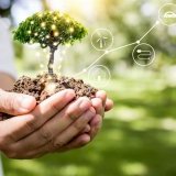 Dotacje na szkolenia i studia podyplomowe – zielone kompetencje