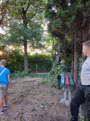 Przycinka drzew i krzewów na terenie ogrodu przedszkola 