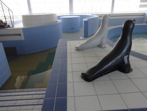 Aquapark w Raciborzu