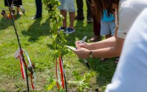 Festiwal Jabłonki Swawole (12)