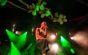 Festiwal Jabłonki Swawole (13)