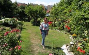 Laureaci (7)