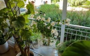 Laureaci w Kategorii Balkon (1)