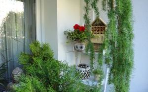 Laureaci w Kategorii Balkon (4)