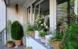 Laureaci w Kategorii Balkon (8)