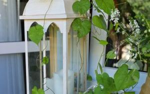 Laureaci w Kategorii Balkon (9)