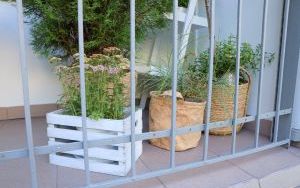 Laureaci w Kategorii Balkon (10)