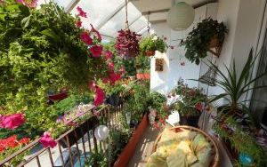 Laureaci w Kategorii Balkon (13)