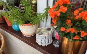 Laureaci w Kategorii Balkon (14)