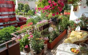 Laureaci w Kategorii Balkon (15)