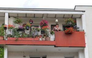 Laureaci w Kategorii Balkon (17)