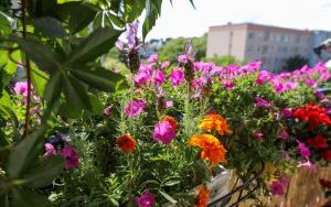 Laureaci w Kategorii Balkon (19)
