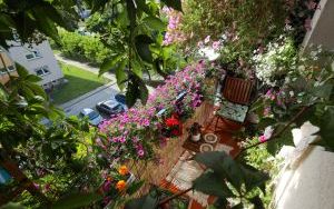 Laureaci w Kategorii Balkon (1)