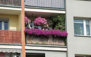 Laureaci w Kategorii Balkon (2)