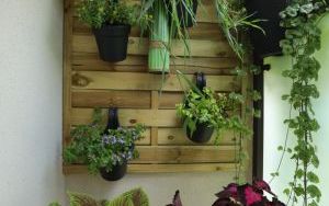 Wyróżnienia Zielono Mi w kategorii balkon (4)