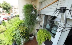 Wyróżnienia Zielono Mi w kategorii balkon (5)