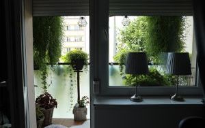 Wyróżnienia Zielono Mi w kategorii balkon (8)