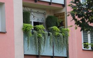 Wyróżnienia Zielono Mi w kategorii balkon (9)