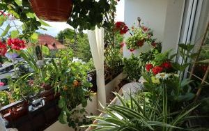 Wyróżnienia Zielono Mi w kategorii balkon (10)