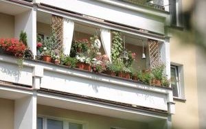 Wyróżnienia Zielono Mi w kategorii balkon (16)