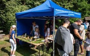 Raciborski Piknik Leśny (14)
