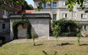Konkurs Zielono mi ogród przy budynku wielorodzinnym (5)