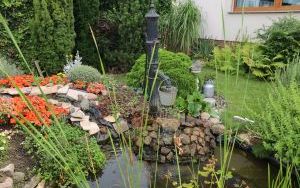 Ogród Zielono Mi laureaci ogród przy miejscu pracy (11)