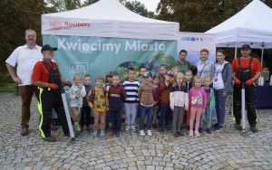Akcja sadzenia krokusów (1)