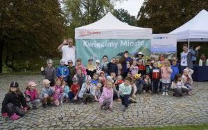 Akcja sadzenia krokusów (9)